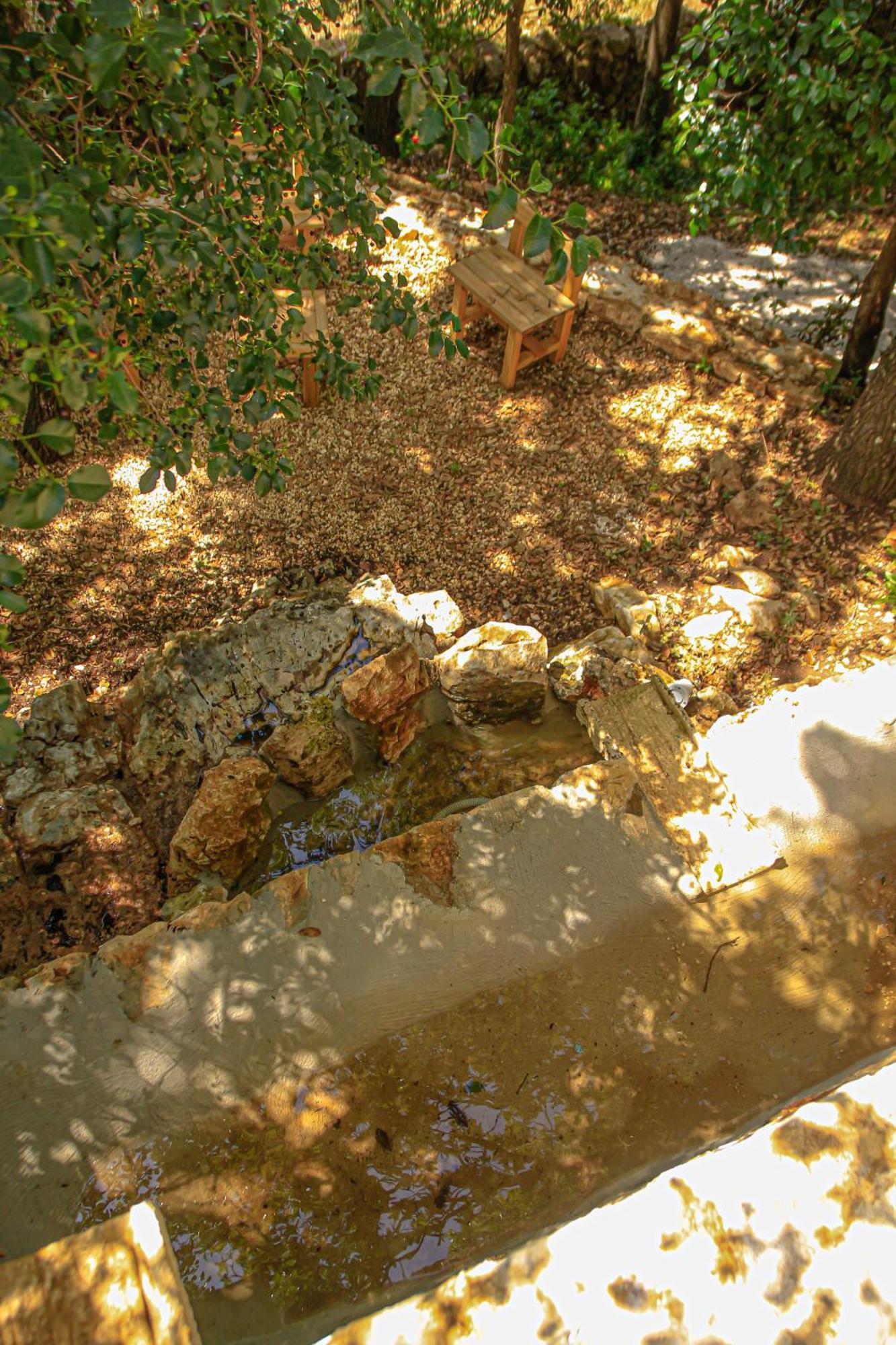 Trulli Olistici Villa *
