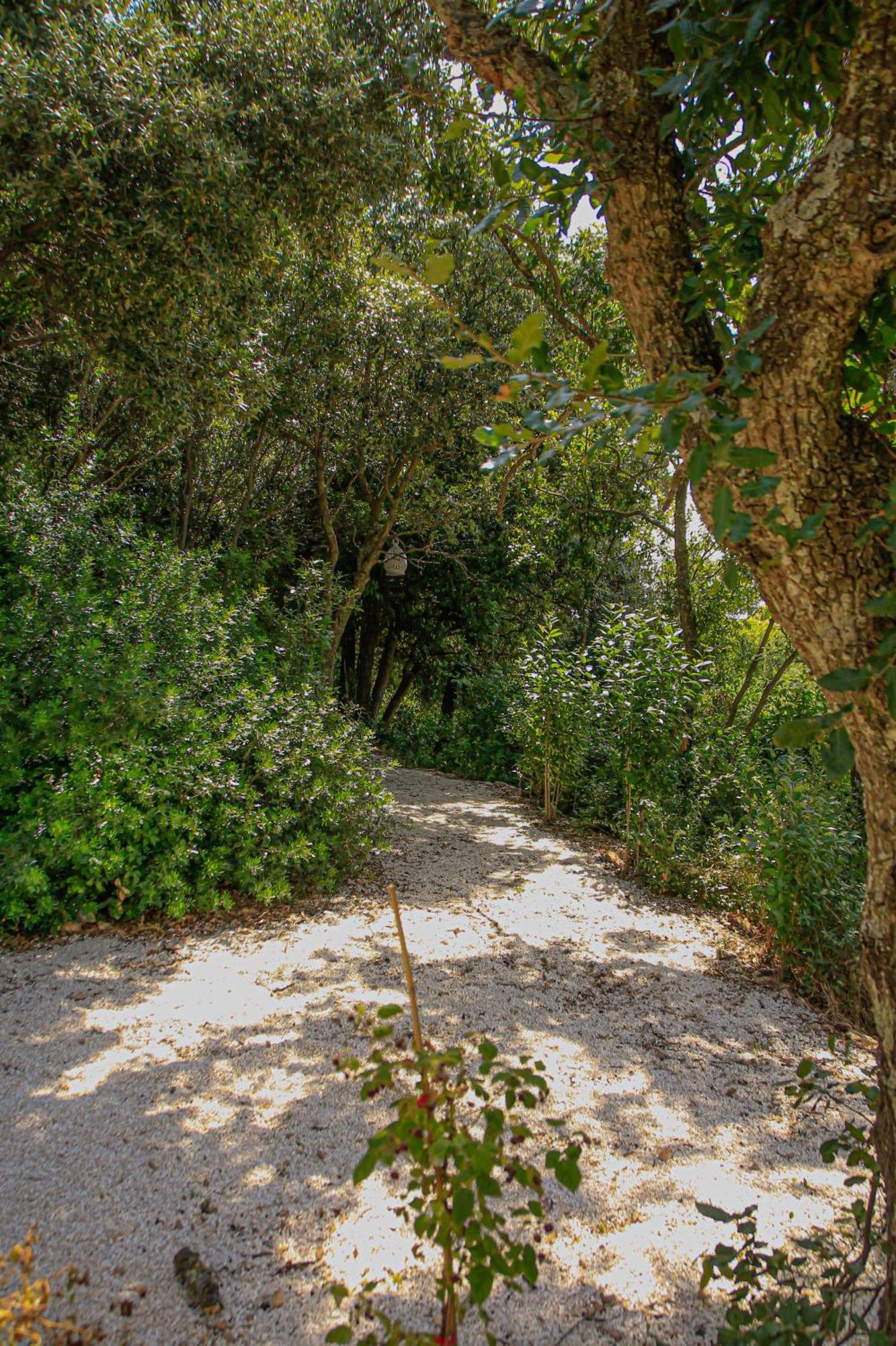 Villa Trulli Olistici Locorotondo